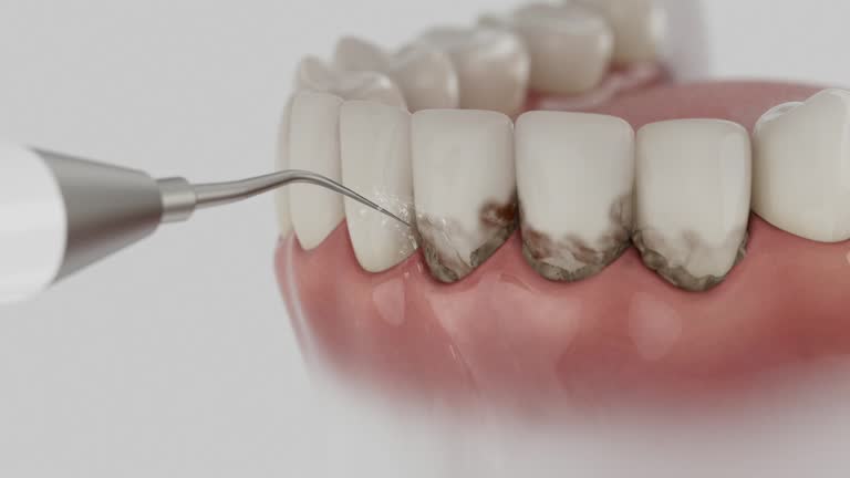 Reliable Dental contractor in Long Branch, VA by Dentist Open Now